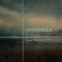 Tobar Mhoire (Orchestral)