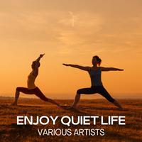 Enjoy Quiet Life