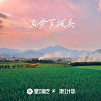 马步芳拔兵