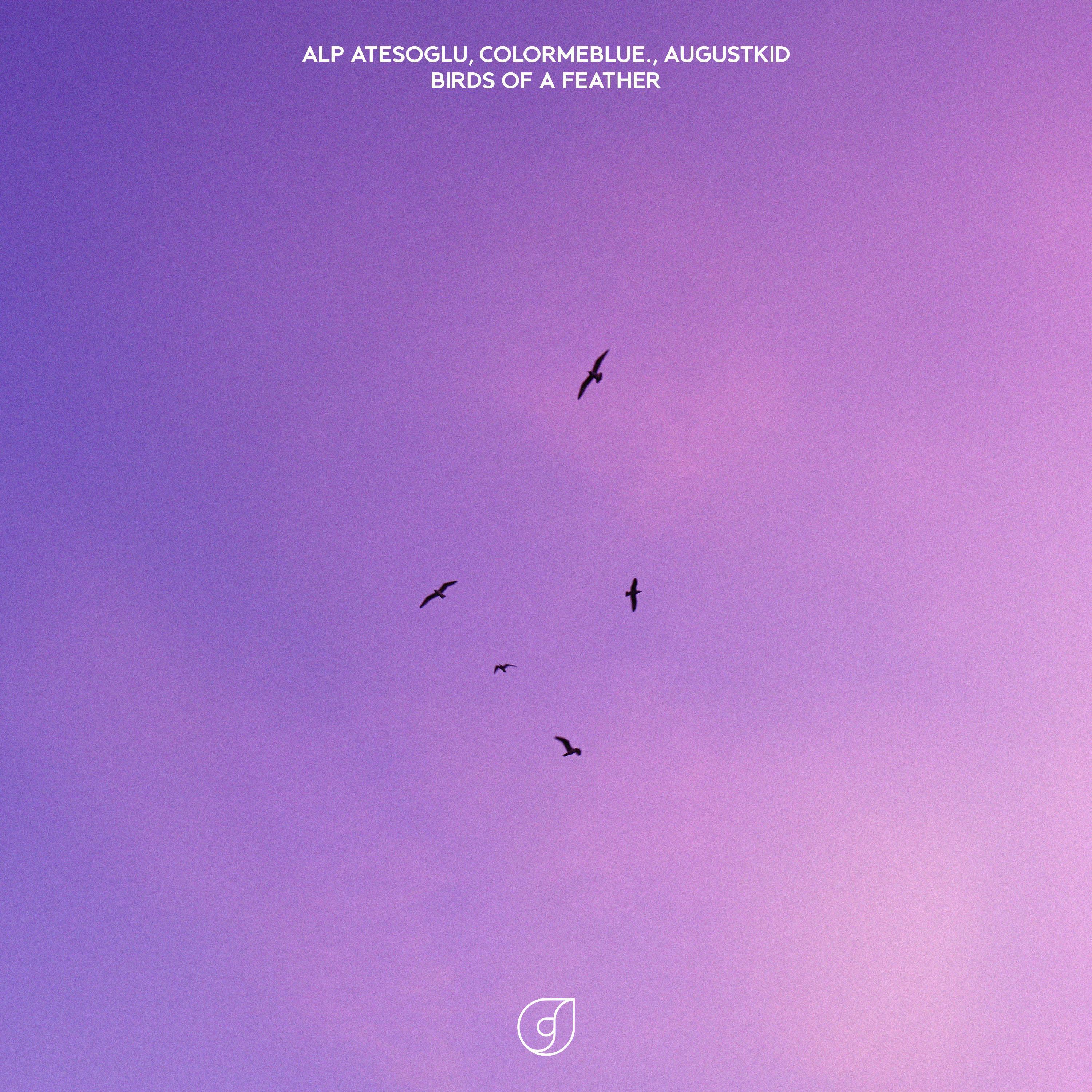 Birds Of A Feather (feat. AUGUSTKID)