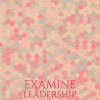 Examine Leadership