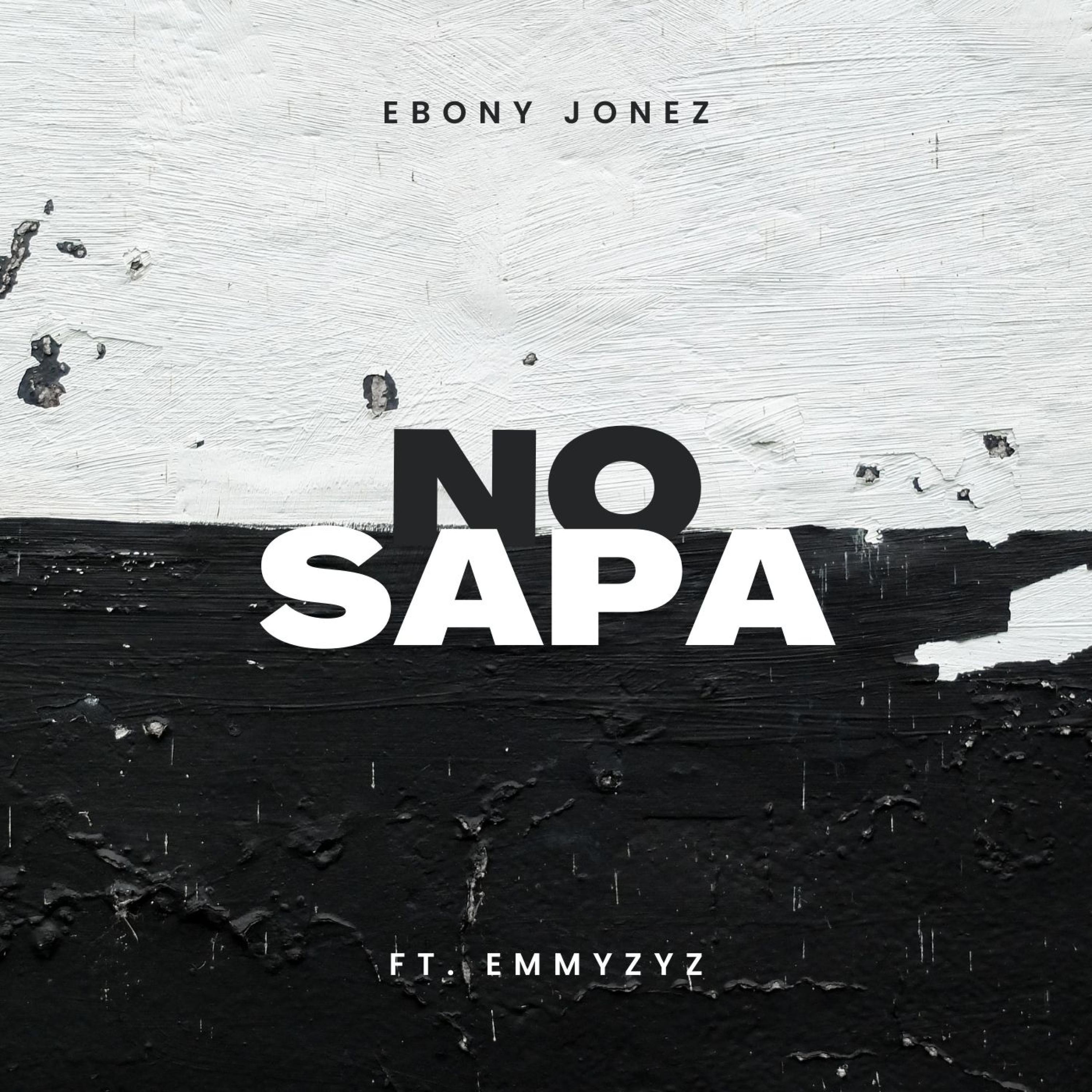 No Sapa (feat. Emmyzyz) (Remix 001)
