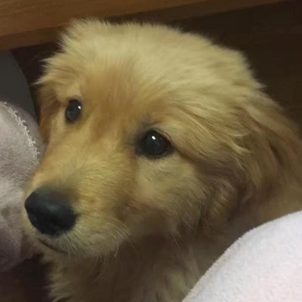 李周演回家吃饭