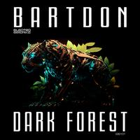 Dark Forest