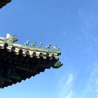 林深