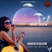 WHY NOW (feat. Nkosi The Hustler)