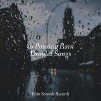 50 Pouring Rain Droplet Songs