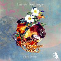 Inner feelings (feat. kein)