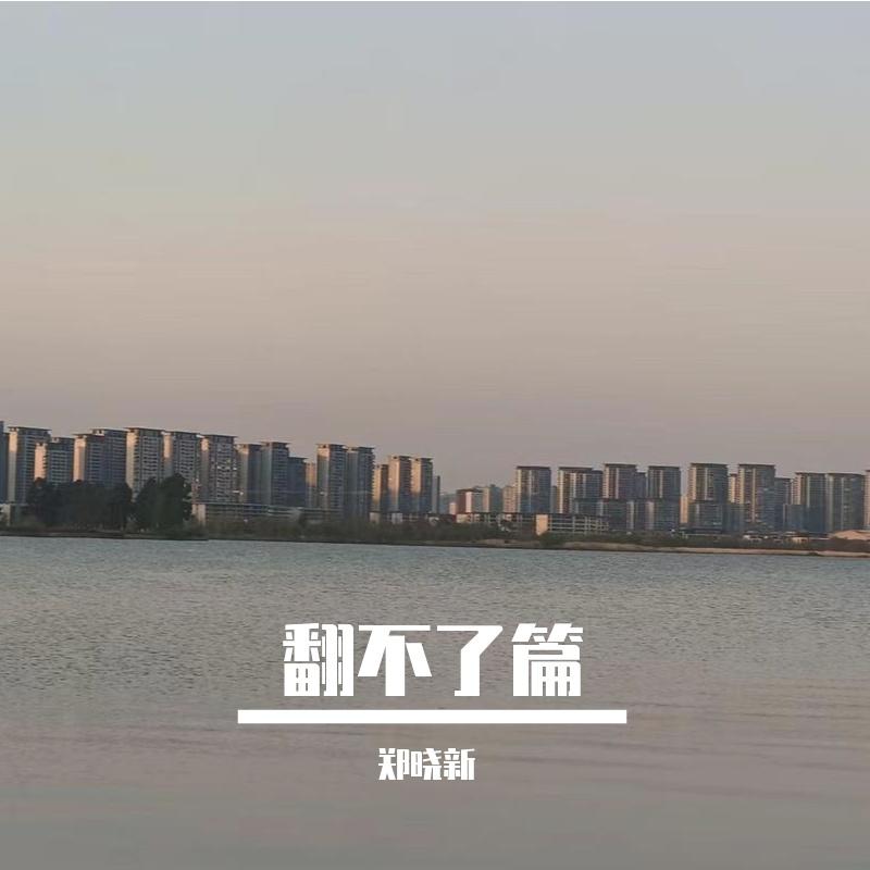 陌生的人封面