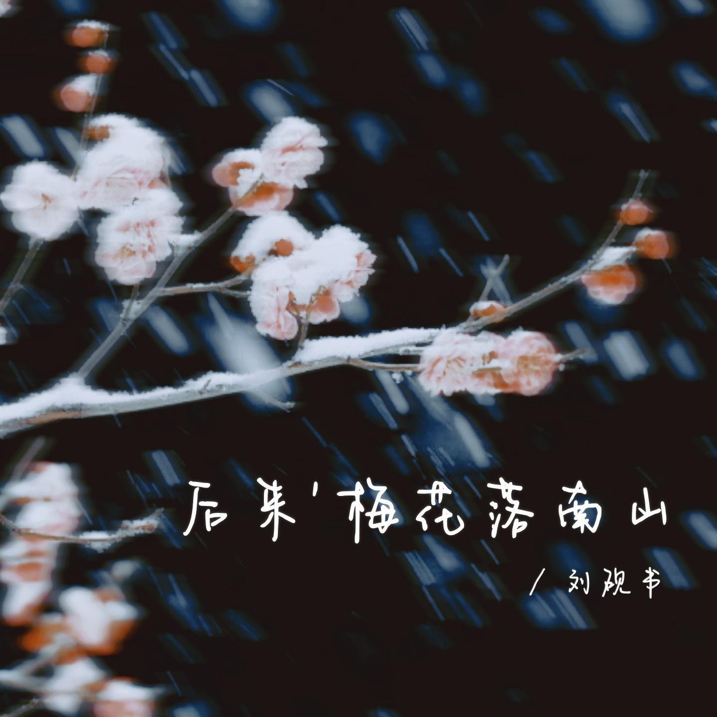 后来梅花落南山封面