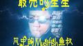 最亮的星星·风中的Musifish鱼叔