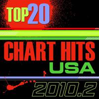 Top 20 Chart Hits USA - 2010.2