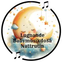 Lugnande Babymusikdosa Nattrutin