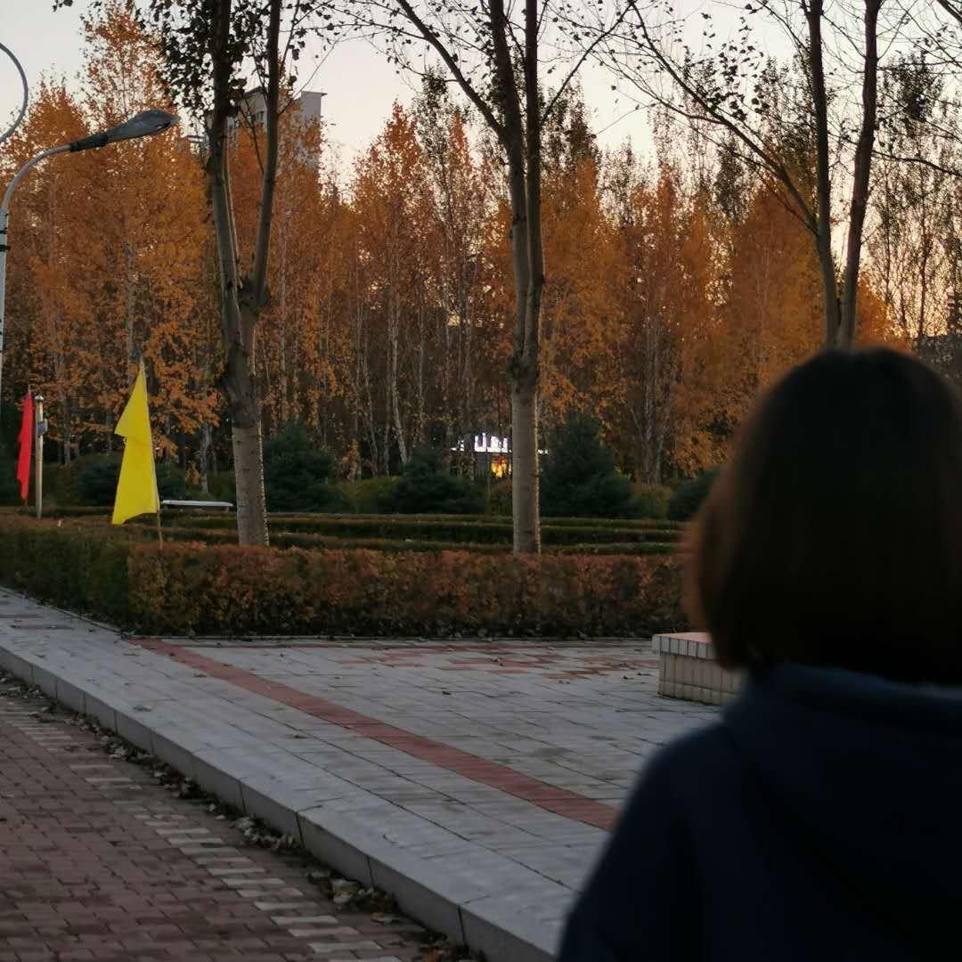 Ctrl + Alt + Del = 重启