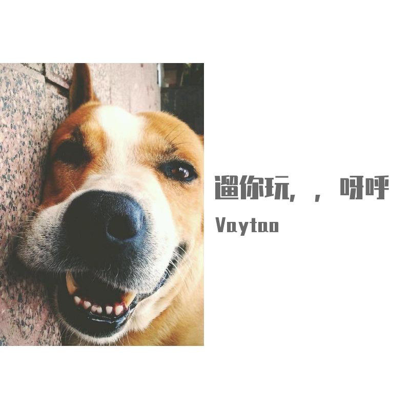 遛你玩（Remix）（翻自 KenT）封面