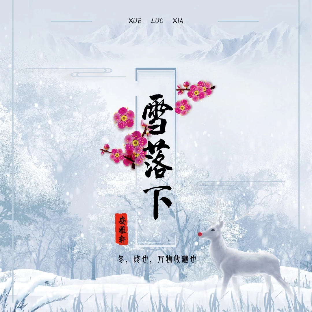雪落下 伴奏封面