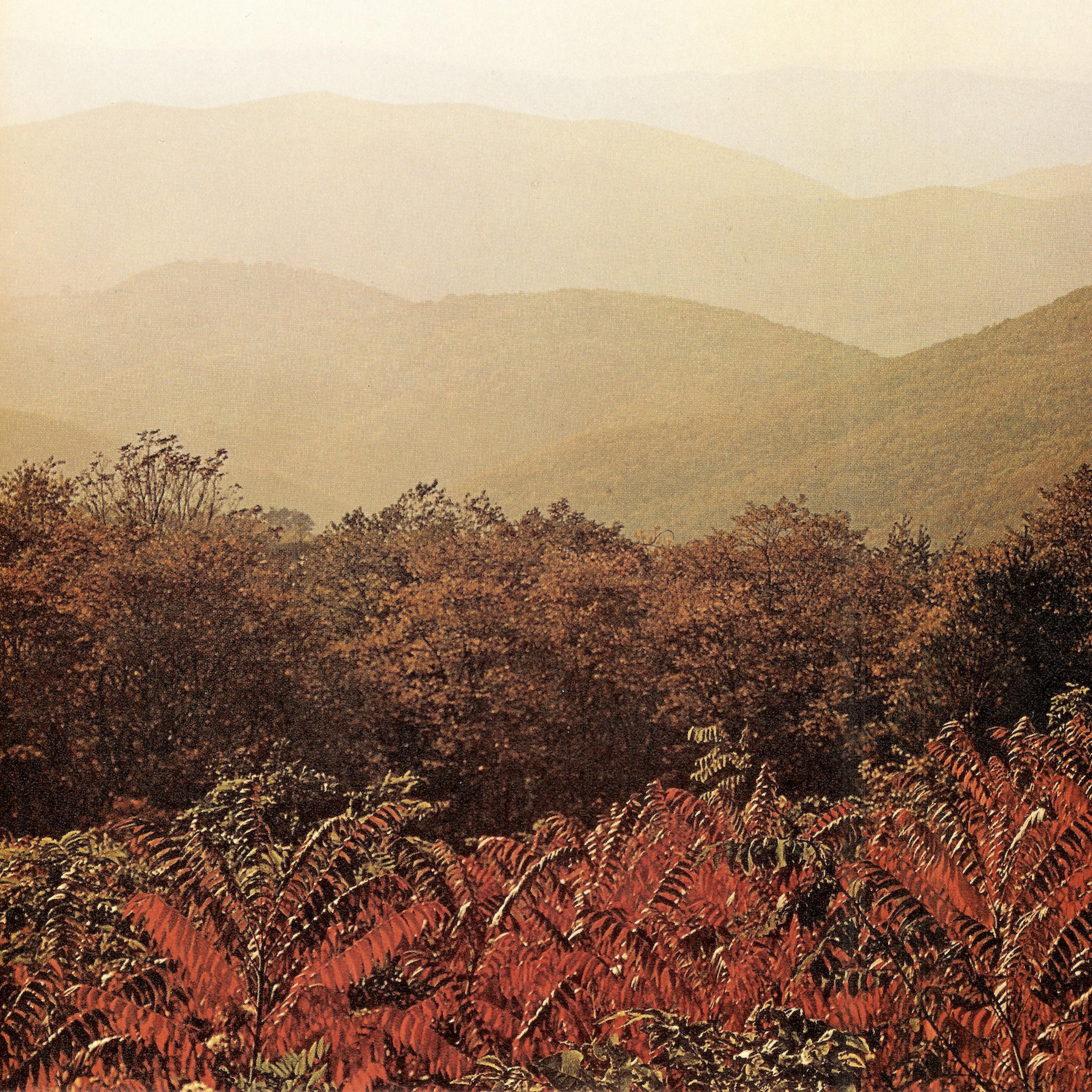 Borrowed Sunlight (15th Anniversary Edition)