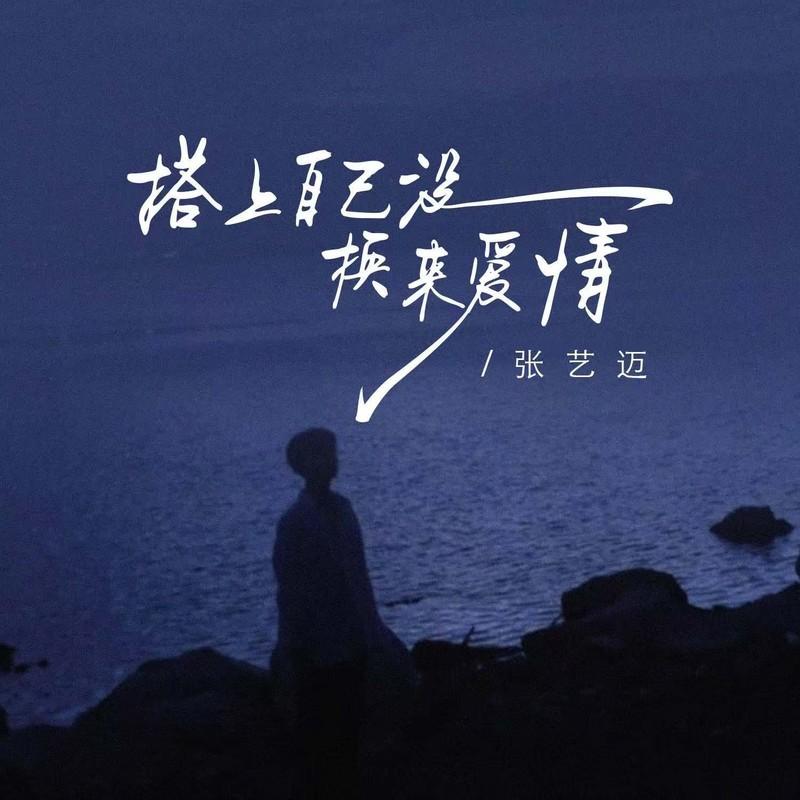 搭上自己没换来爱情 (伴奏)封面
