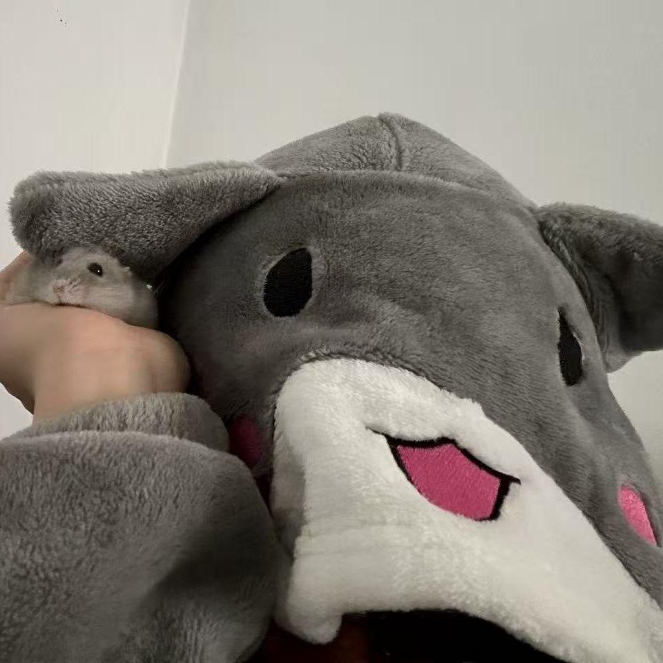 明明你也爱我吧 失眠了 - 蓝月樱封面