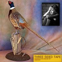 THREE SIDED TAPE VOLUME TWO