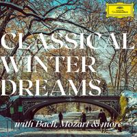 Classical Winter Dreams