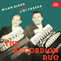 The Accordion Duo