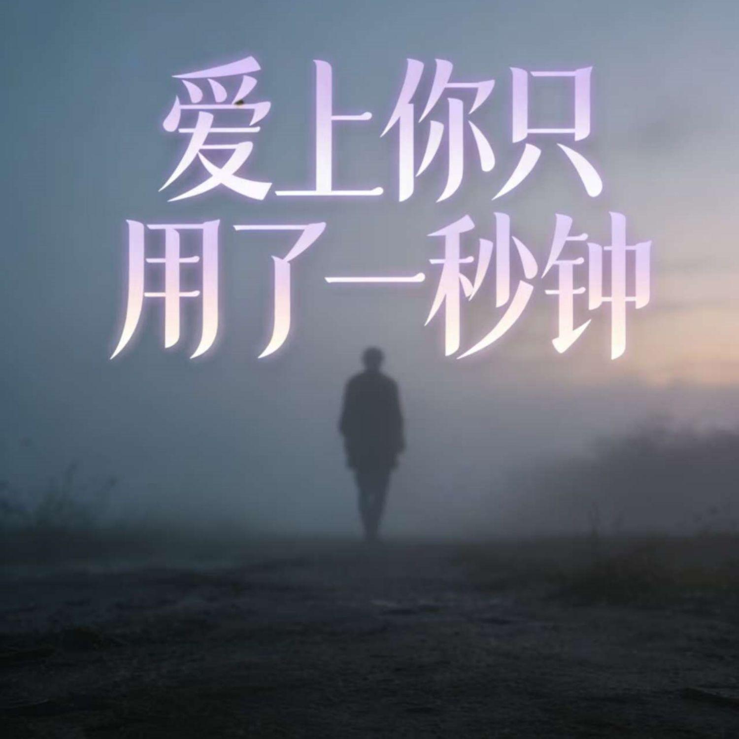 爱上你只用了一秒钟封面