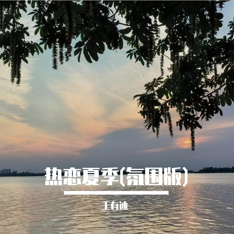 风吹一夏 伴奏 - 王有迪封面