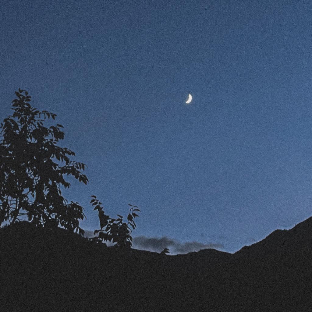 再吃一片回锅肉