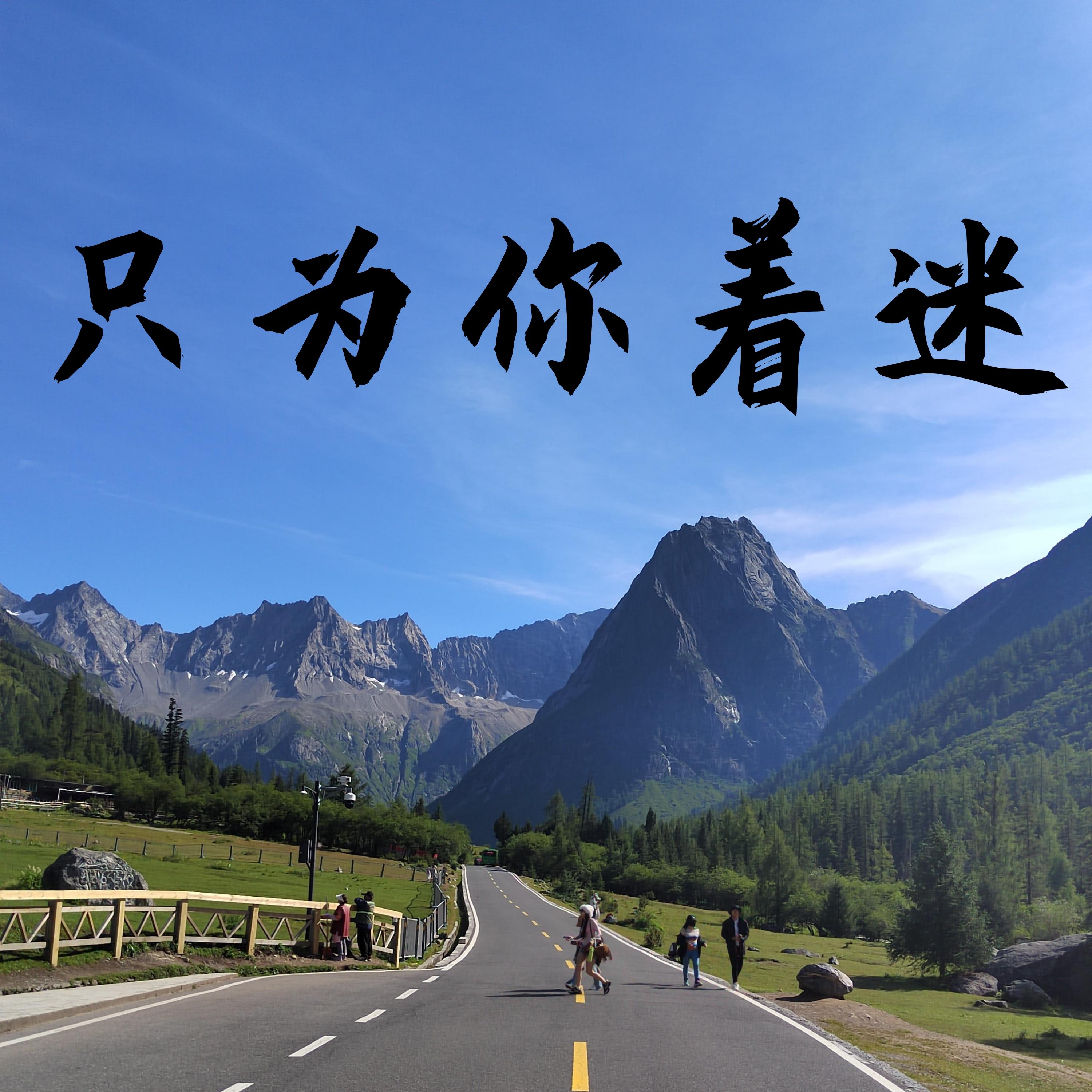 只为你着迷封面