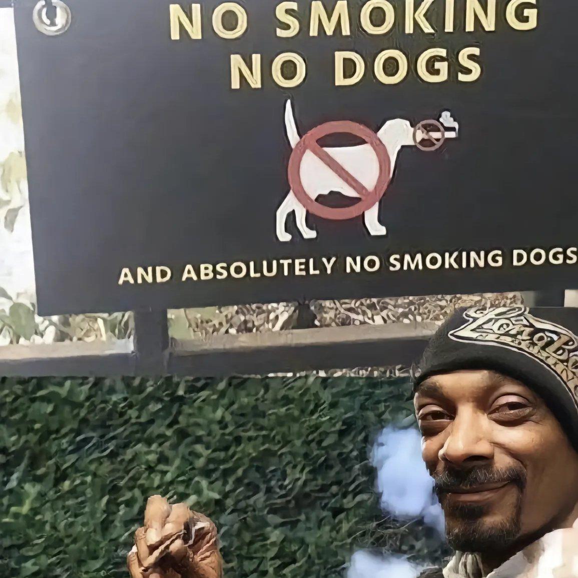 snoop bogg