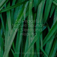 50 Peaceful Nature Sounds for Sleep and Healing