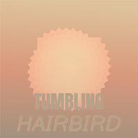 Tumbling Hairbird