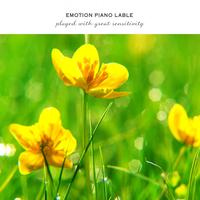 Store Music-New Age Piano With Warm Sensibility