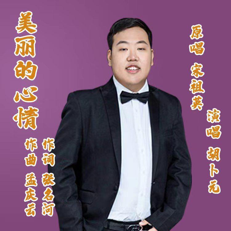 美丽的心情(伴奏)封面