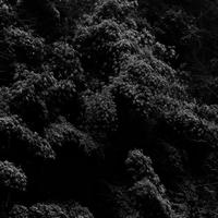 任鹤羽资料,任鹤羽最新歌曲,任鹤羽MV视频,任鹤羽音乐专辑,任鹤羽好听的歌