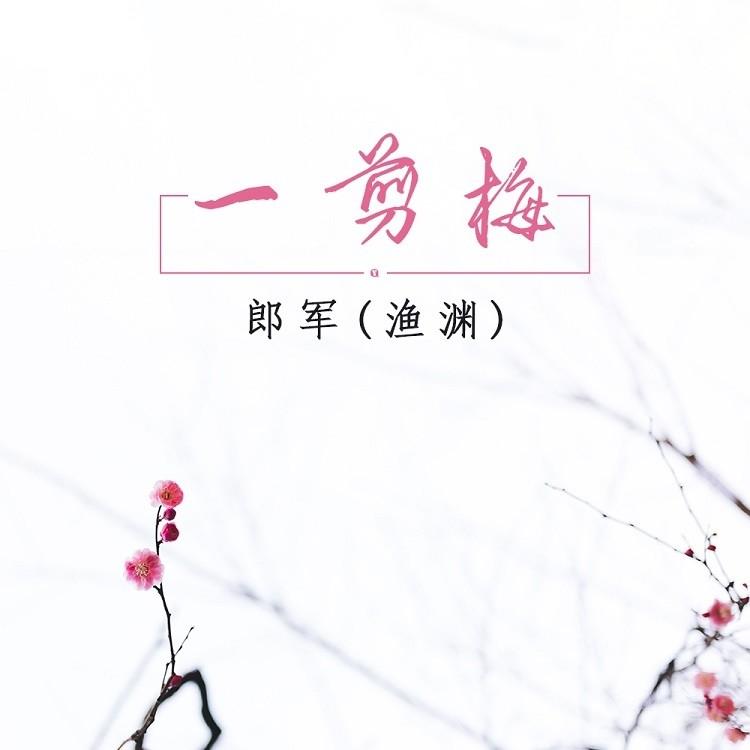 一剪梅 (DJ版)封面