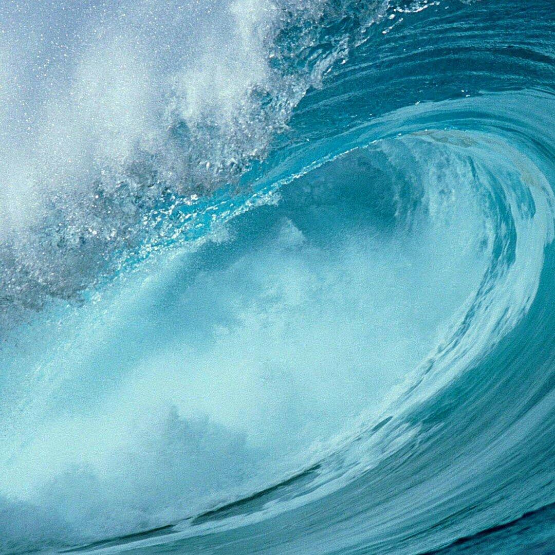 纯音