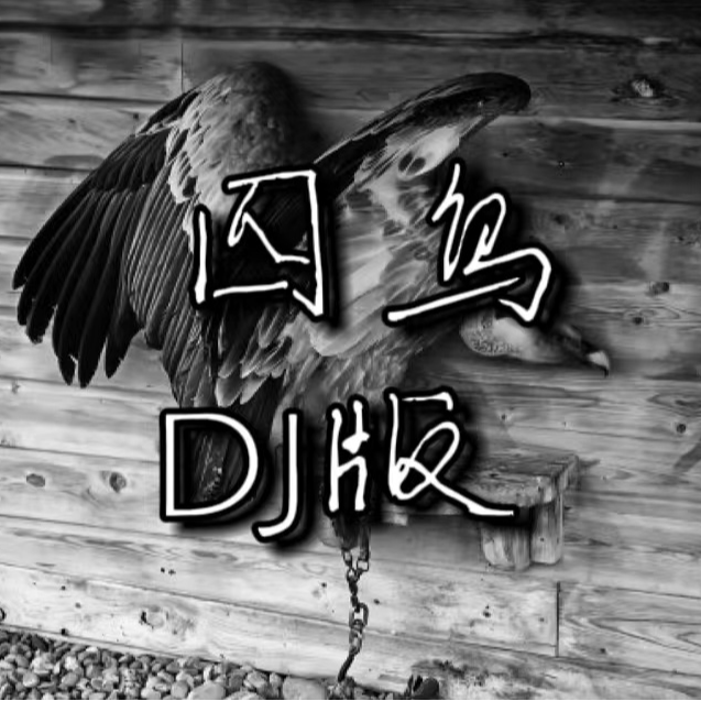 囚鸟 DJ版
