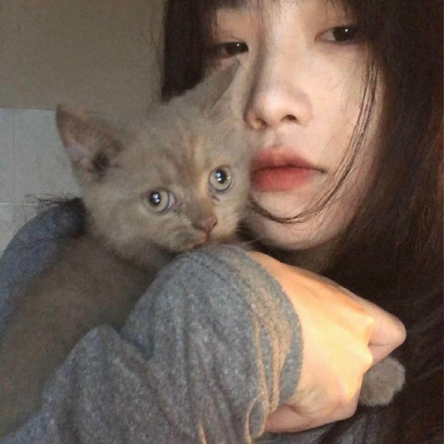 不做你的爱人封面