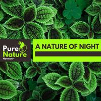 A Nature of Night