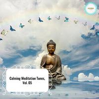 Calming Meditation Tunes, Vol. 05