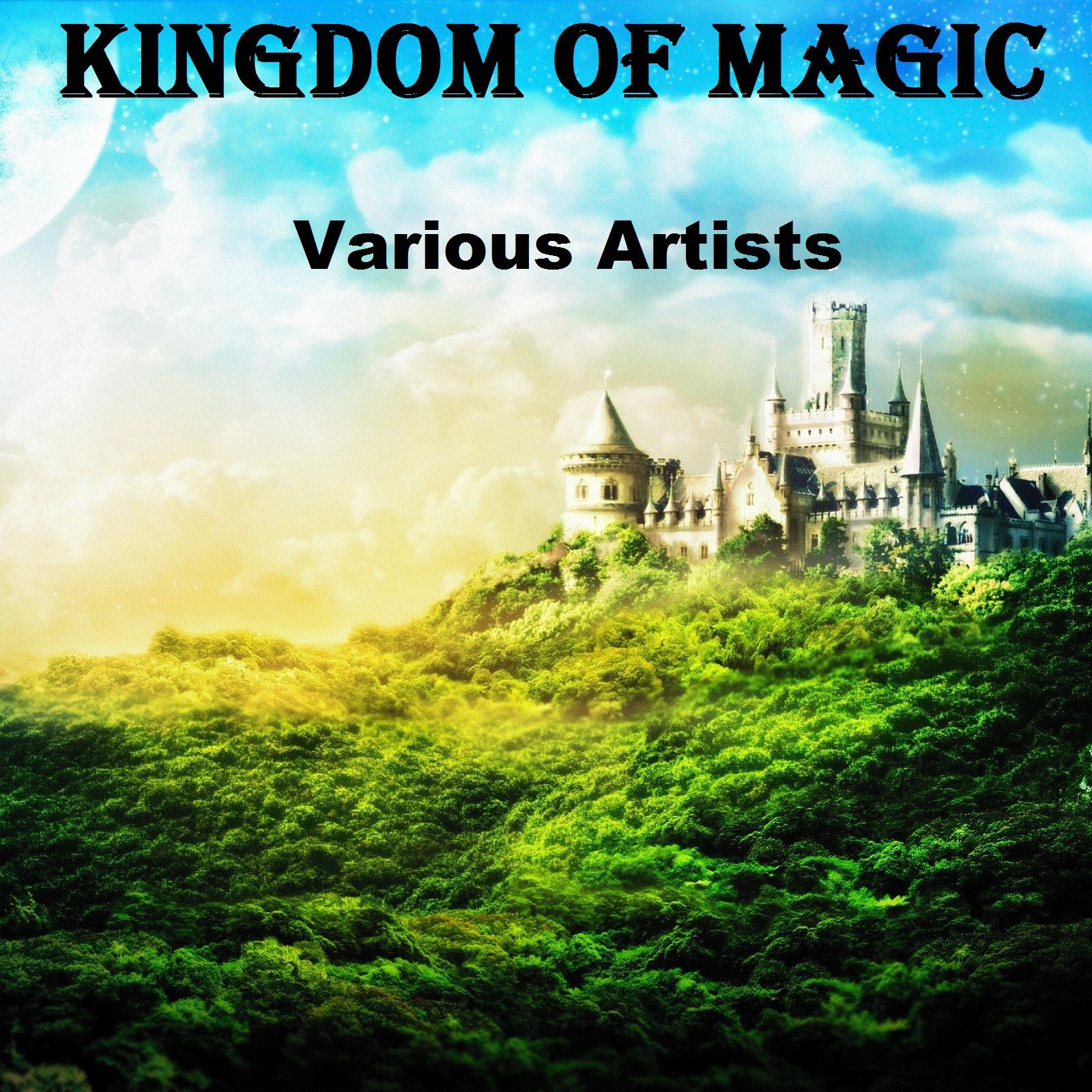 Kingdom of Magic.Brandon Fiechter.(Kingdom of Magic)专 辑.(Kingdom of Magic)专...