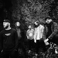 While She Sleeps
