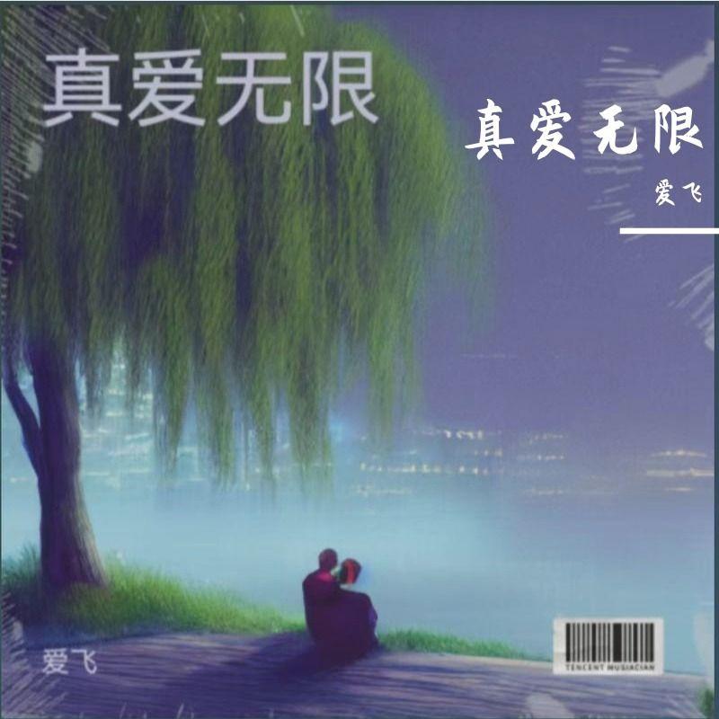 最美不过你笑颜 伴奏封面