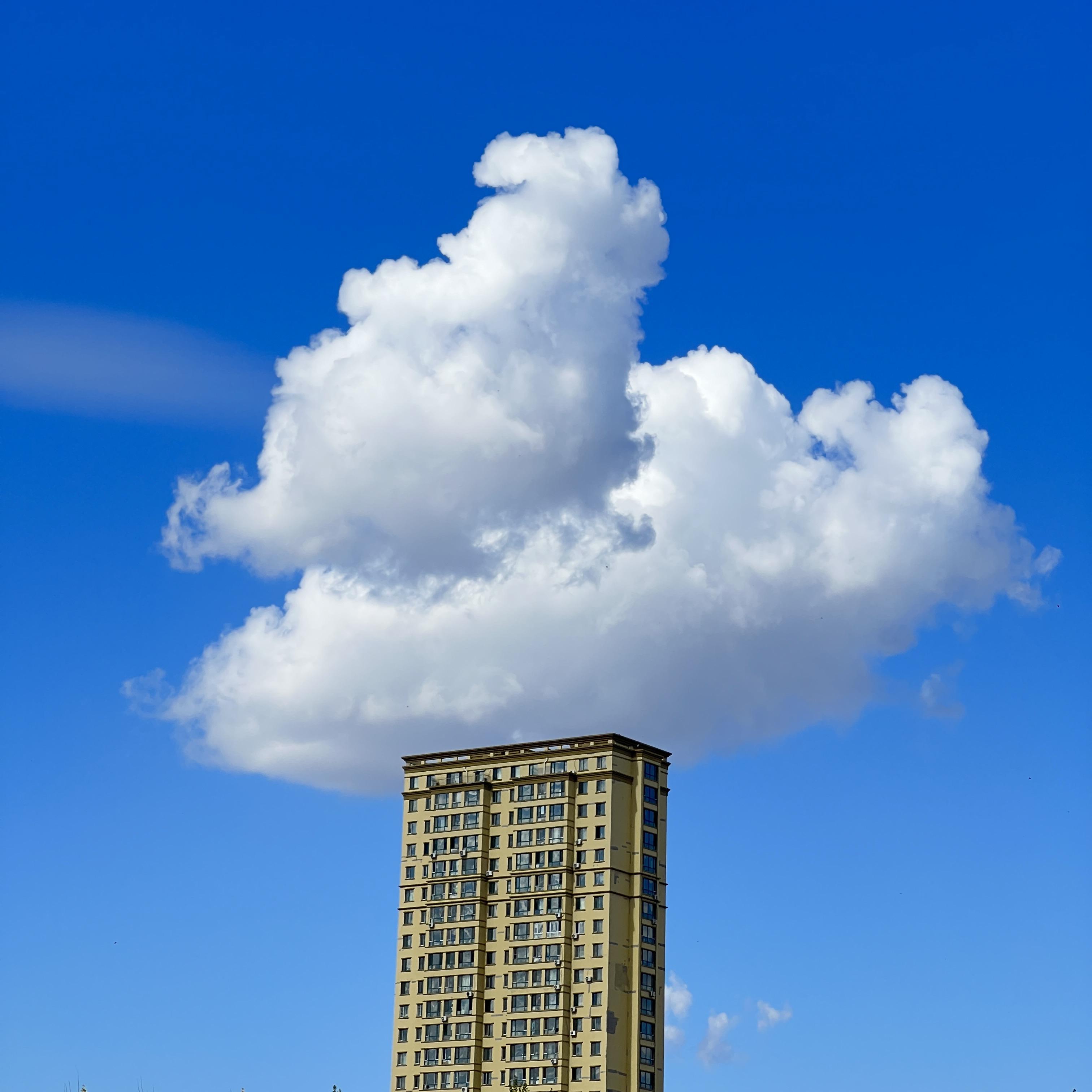 我的天空(Vision of Le)