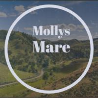 Mollys Mare