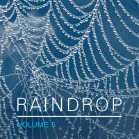 Raindrop, Vol. 5