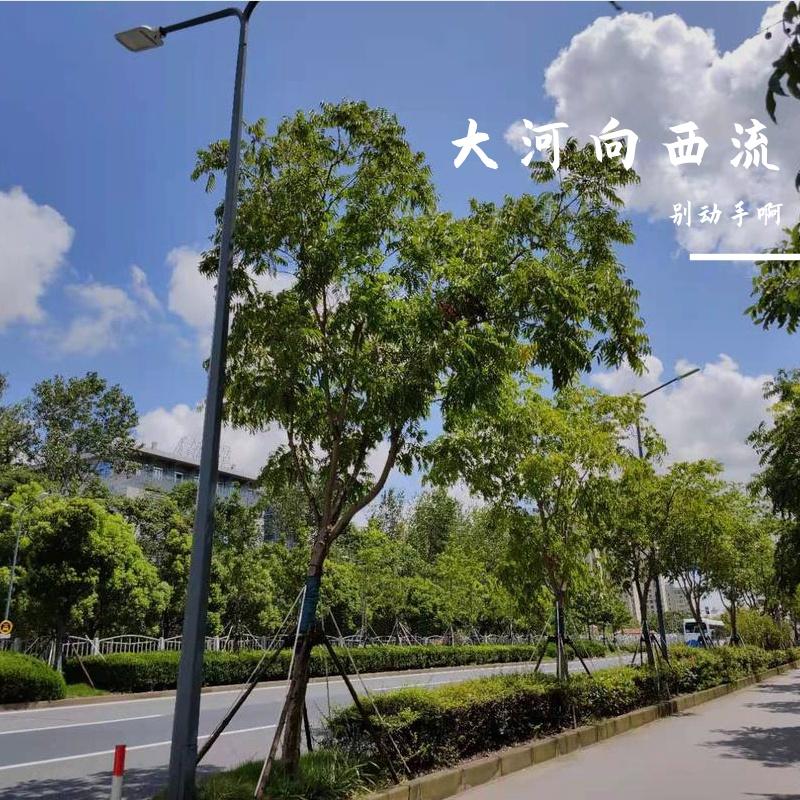 牧马城市（cover毛不易） - 别动手啊封面