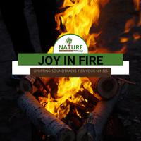 Joy in Fire - Uplifting Soundtracks for Your Senses